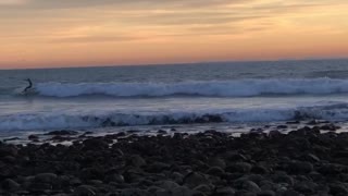 New Year’s Day 2021 Sunset at the Beach