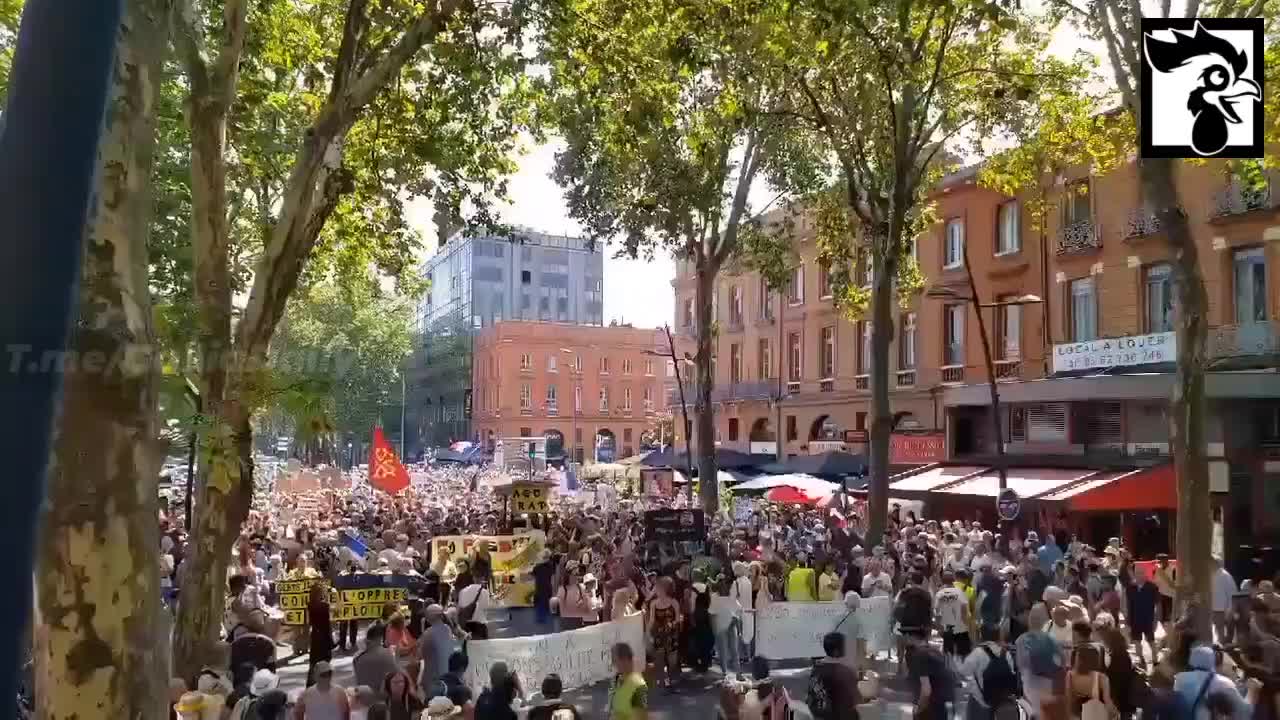 Toulouse, France: Vaccine Passport Protests August 21, 2021