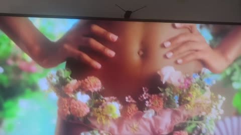 PHD VULGAR ADS