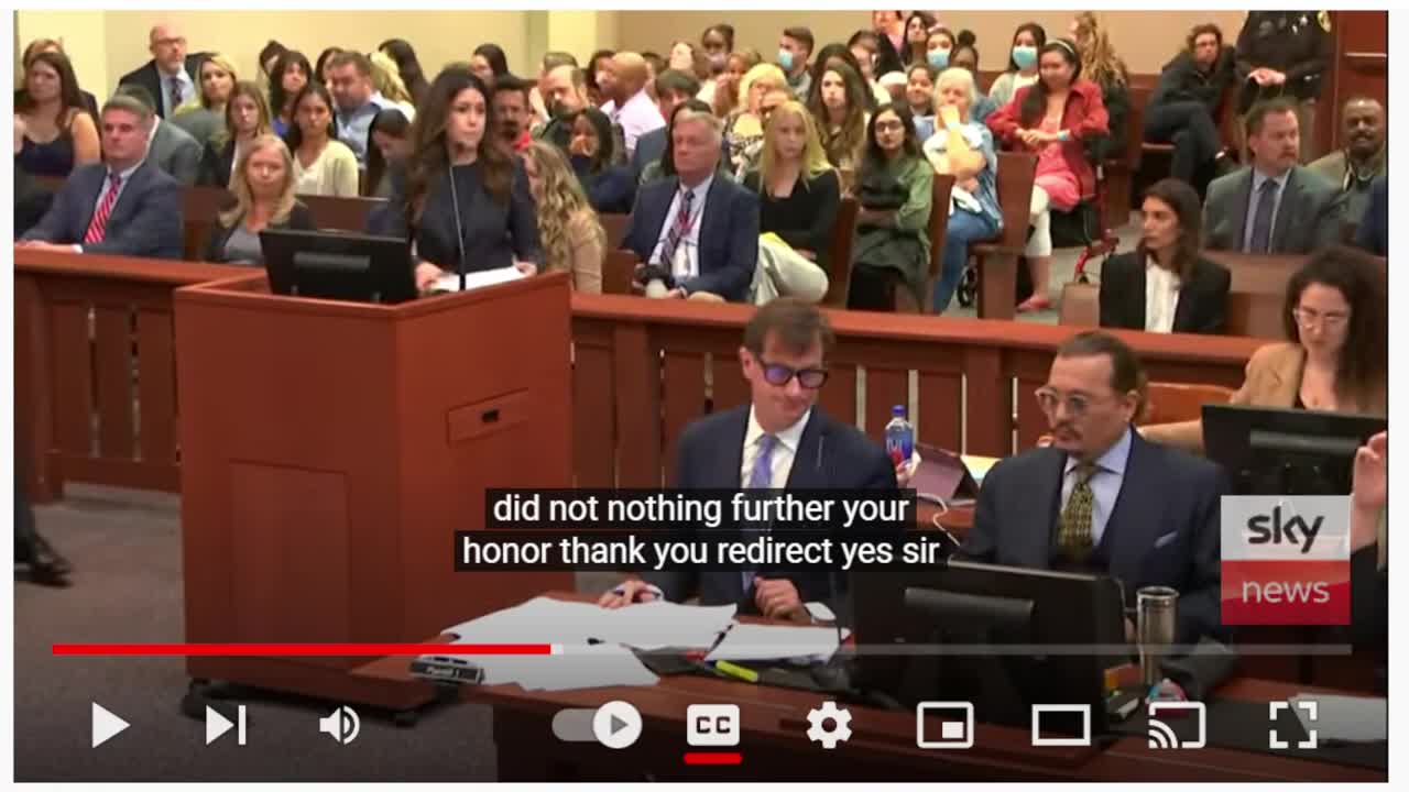 Heard Expert Witness Destroyed by Camille Vasquez