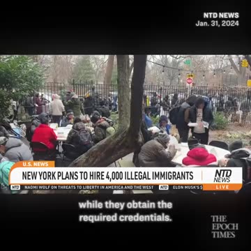 New York Hiring 4,000 Illegal Immigrants ; NO RESUME' REQUIRED