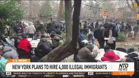 New York Hiring 4,000 Illegal Immigrants ; NO RESUME' REQUIRED