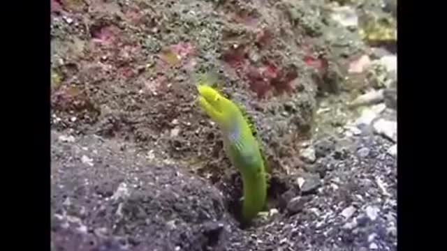 Time with God - November 18