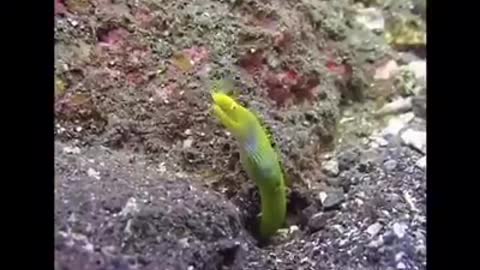 Time with God - November 18