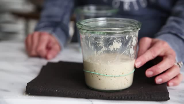 Sourdough Starter