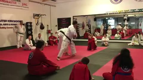 Hapkido