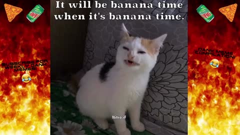Dank Memes Comp #87