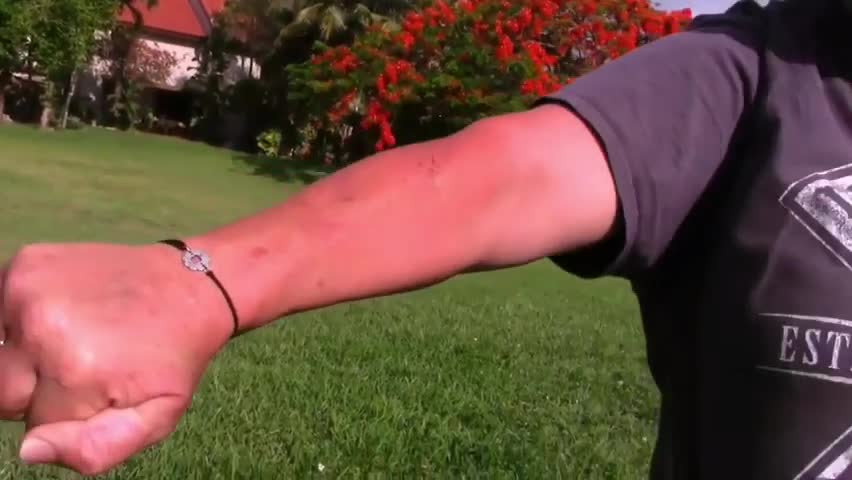How To Make Dog Become Fully Aggressive With Few Simple Tips ! Dogs Training