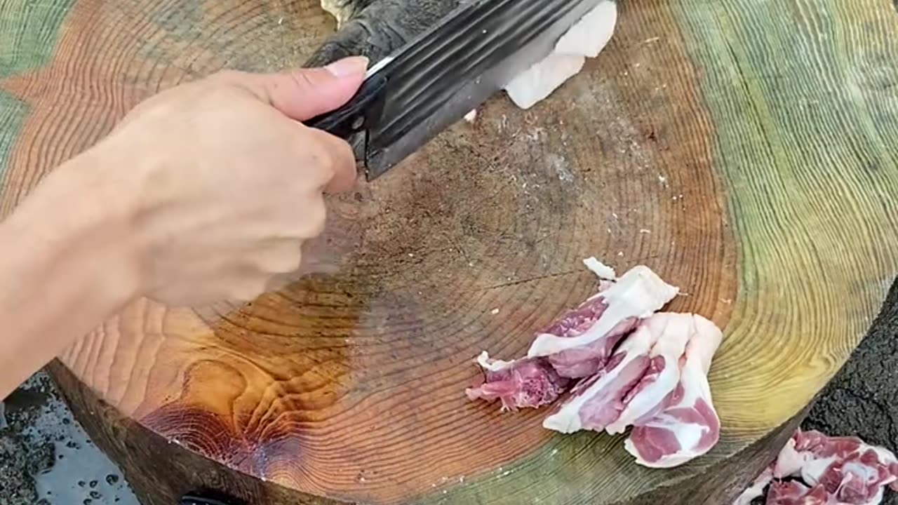 USE A TURTLE LIKE THIS
