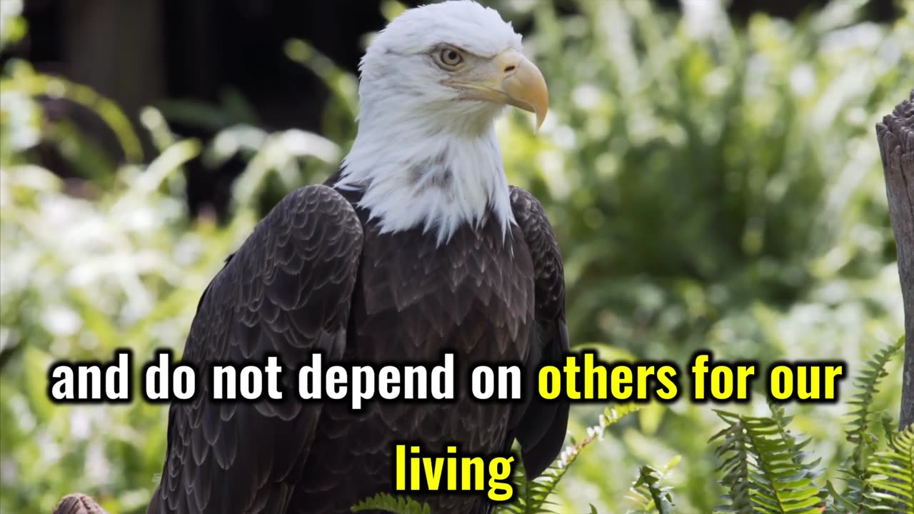 The Eagle Mentality - Best Motivational Video | By Bodhi Inspired