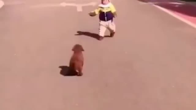 Dog's funny video😂🤣