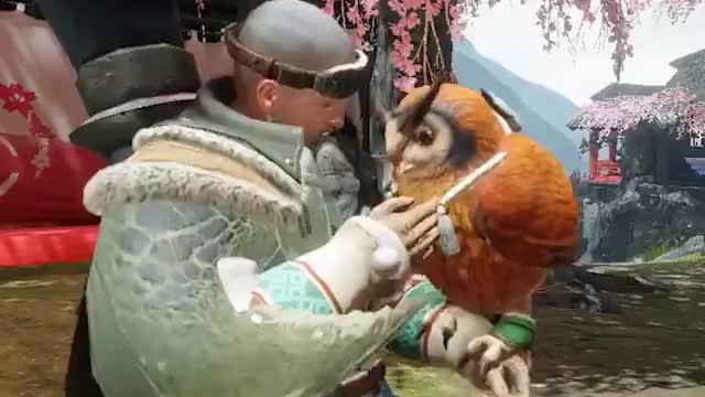 Petting The Owl