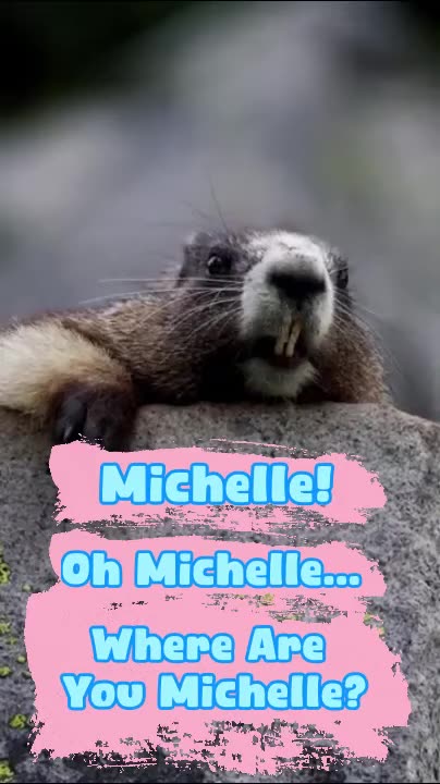 Michelle...😂 Oh Michelle... Where are you? The Motivating Beaver is looking for you