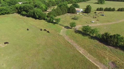 Using drones on the farm