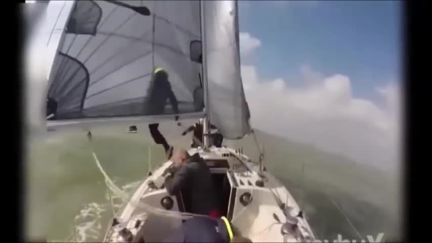 Compilation of Funny Videos with Animals and Sailor