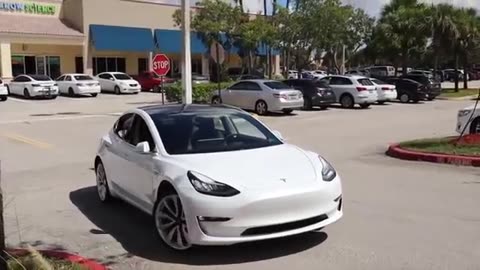 Tesla model on summing mode checked by the Police officer