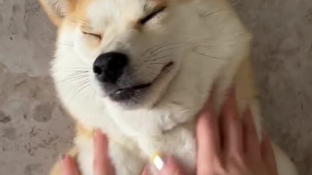 touch