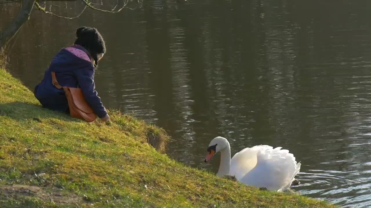 Duck and children