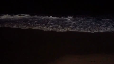 night beach