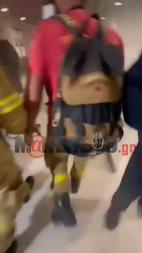 Εποχικοί Πυροσβέστες 1