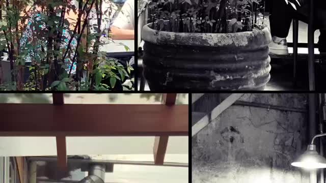 São Paulo, São Paulo.