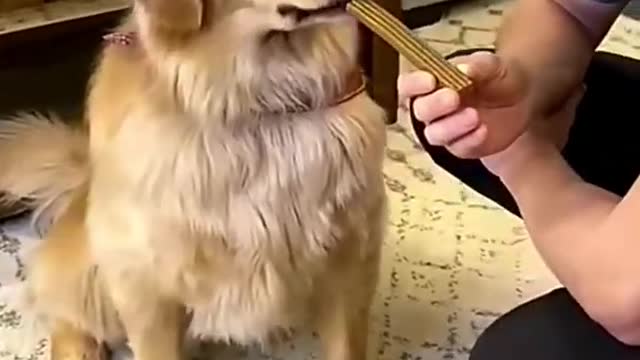 Does this taste good