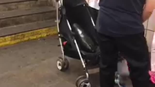 Women with vegetable in baby stroller
