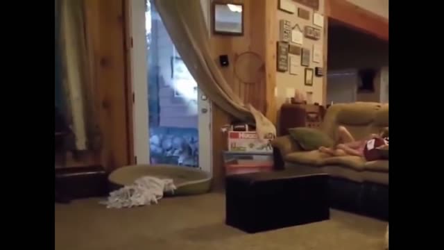 The girl sits and laughs to tears, and the dog...
