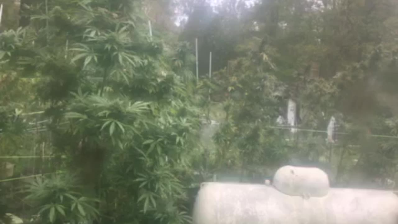 Wednesday Biden condemns terrorists p 1 Derek Hunter