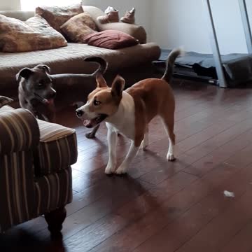 What Is Around the Corner