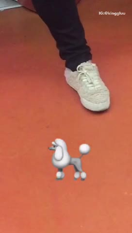 Fluffy poodle filter white shoes