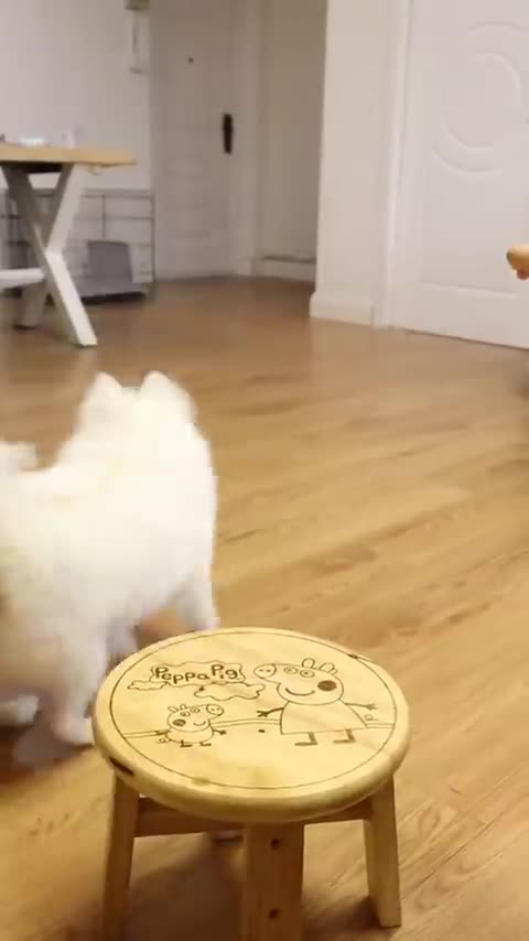 Dog almost hurt my hand_ --_cute _dog _doglover