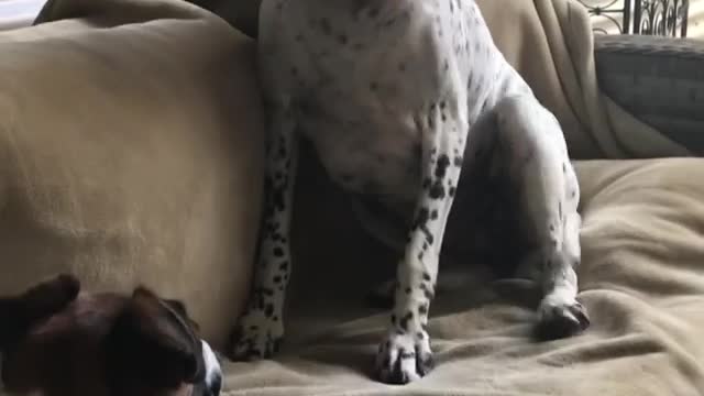 Waking up and finding someone in your bed