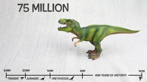 Dino Facts: THE T-REX