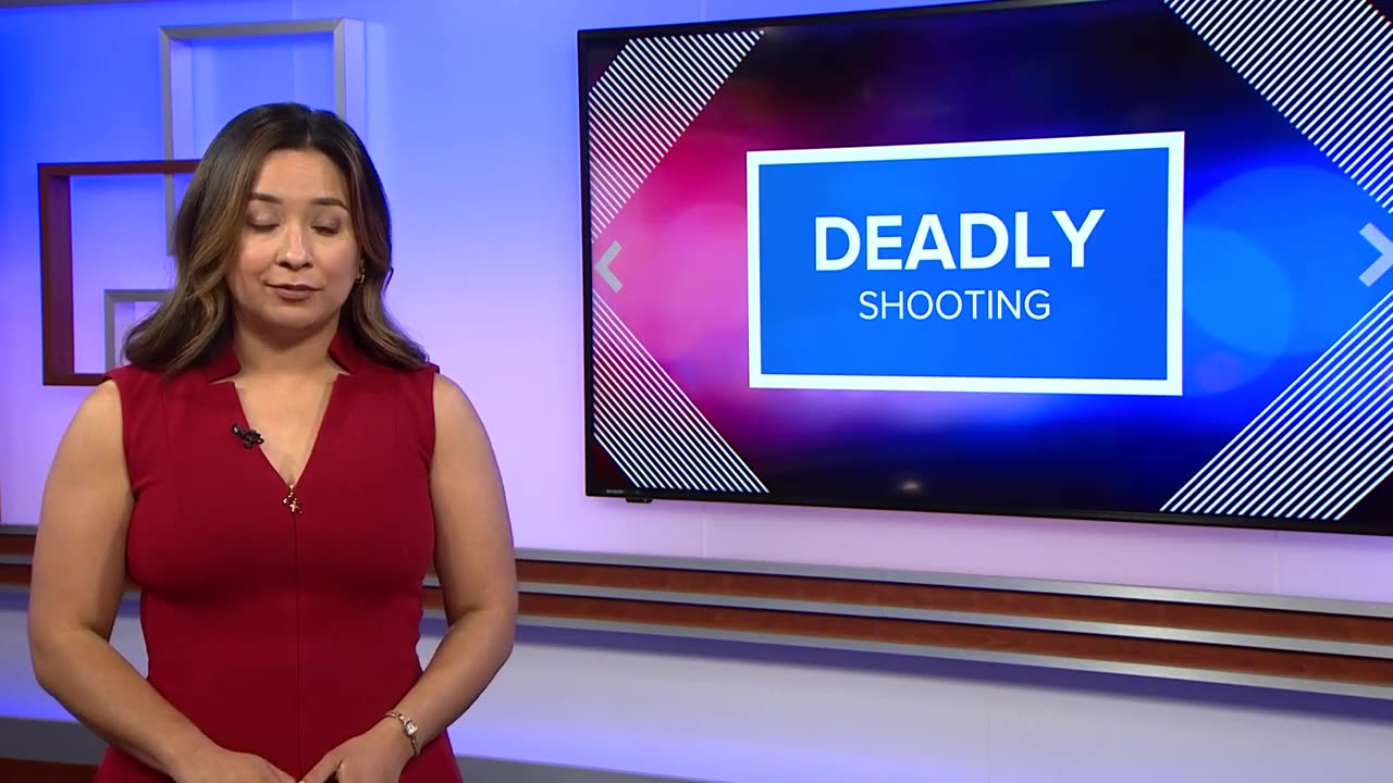 80 year old woman caught in crossfire,shoot in head and kill police say
