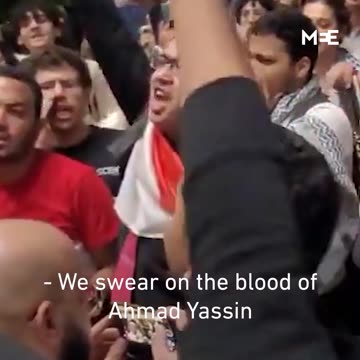 ‘They raped the women at the hospital’: Egyptian protesters chant for Gaza
