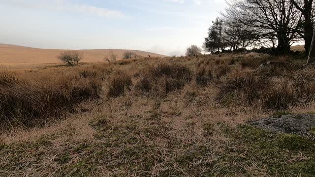 Arrived at Teignhead farm . Where to pitch my tent.