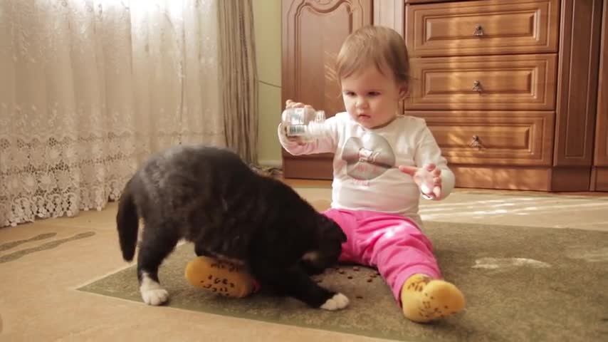 Cute_Baby_Interestingly_Feeds_the_Kitten