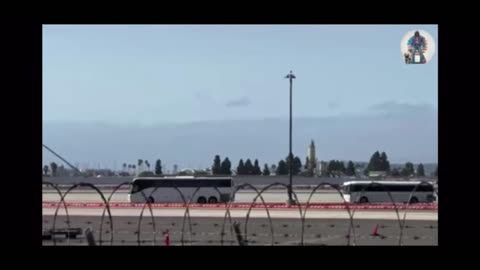 DHS Smuggling Illegals In Unmarked Planes