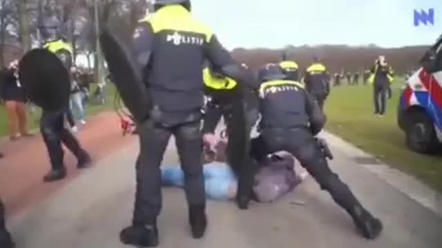 Netherlands - Police beating a protesters & then forcing police dog to attack him