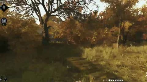 Hunt: Showdown Pt.49