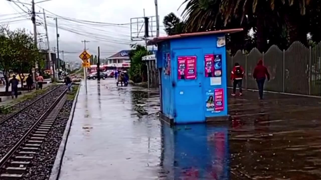 Un sueño de primavera 🌼
