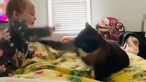 Baby & cat's funny reaction part - 2