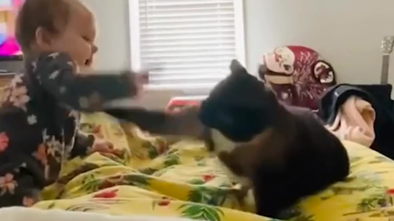 Baby & cat's funny reaction part - 2