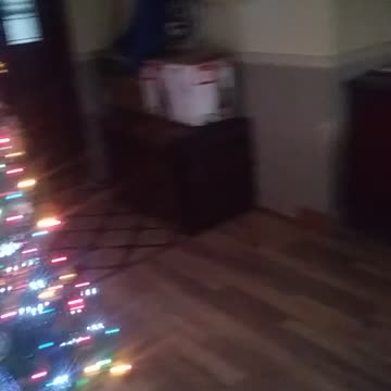 my dogs at the end ll😂😂😂