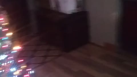 my dogs at the end ll😂😂😂