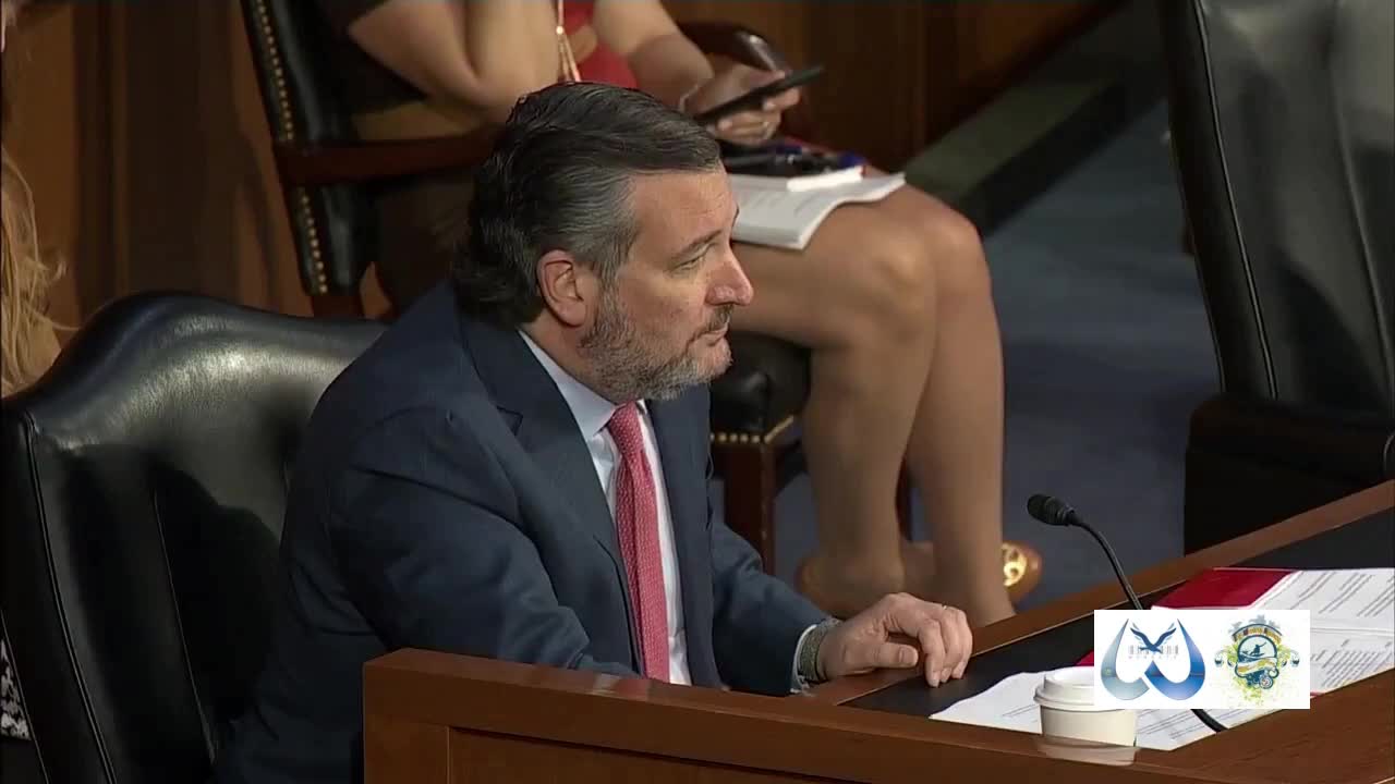 Sen. Cruz on Gun Control