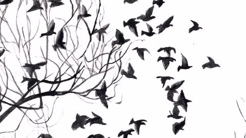 Escape: The Birds