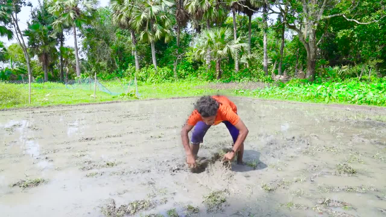 Must Watch New Funny Video 2021 Top New Comedy Video 2021 Try To Not Laugh