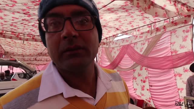 Dog market in dog shows vlog fo Karnak dogs show for all dogs 🐕 lovers